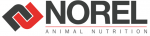 Norel